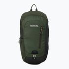 Рюкзак туристичний REGATTA Highton V2 20 l dkkhk/frlfcl