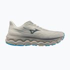 Кросівки для бігу чоловічі Mizuno Wave Horizon 9 foggy dew/dark slate/blue jewel