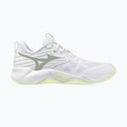 Кросівки волейбольні жіночі Mizuno Wave Momentum Pro white/aqua gray/ambrosia