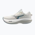 Кросівки для бігу чоловічі Mizuno Wave Rider 30 foggy dew/dark slate/white