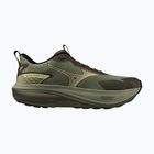 Кросівки для бігу чоловічі Mizuno Wave Rider Tt 4 sea spray/beechnut/forest night
