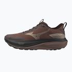 Кросівки для бігу жіночі Mizuno Wave Rider Tt 4 peppercorn/simply taupe/black