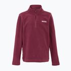 Кофта флісова дитяча REGATTA Hot Shot II dark pimento