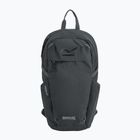 Рюкзак міський REGATTA Everyday Prism 20 l ash