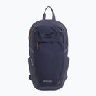 Рюкзак міський REGATTA Everyday Prism 20 l night sky