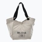 Жіноча сумка BIG STAR NN574058 бежева