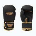 Боксерські рукавиці StormCloud Boxing Pro black/gold