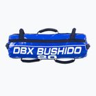 Power Bag DBX BUSHIDO 20 кг блакитний Pb20