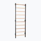 Драбинка гімнастична RINAGYM Steel 1 graphit