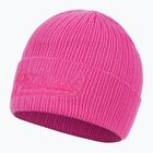 Шапка зимова чоловіча Pitbull Beanie Silvas Angel pink