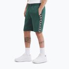 Шорти чоловічі Pitbull Track Shorts Powers bottle green