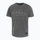 Футболка чоловіча Pitbull Mt. Fuji washed grey