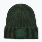 Шапка зимова Pitbull Beanie San Diego Ca dark green