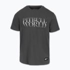 Футболка чоловіча Pitbull World graphite