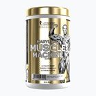 Передтренувальний комплекс Fitness Authority Levrone Gold Maryland Muscle Machine 385 g fruit punch