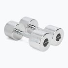 Гантелі хромовані XTREXO 2x12 кг срібний