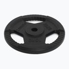 Диск чавунний XTREXO TRX-ICP010 10 кг chrom