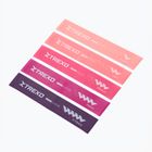 Комплект гумок для вправ XTREXO Mini Power Band TXO-B4Z053-ALL 5 шт. кольоровий