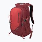 Рюкзак туристичний Alpinus Teide 24 l burgund