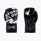 Рукавиці боксерські StormCloud Bolt 3.0 black/white