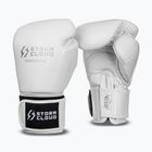 Рукавиці боксерські StormCloud Muay Thai Blizzard 2.0 white/silver