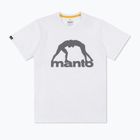 Футболка чоловіча MANTO Vibe 25 білий/сірий