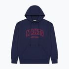 Кофта чоловіча MANTO Varsity 26 Hoody синій