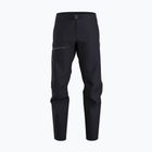 Штани трекінгові чоловічі Arc'teryx Beta black