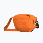 Arc'teryx Mantis 1 1,5 л пакетик з вербою