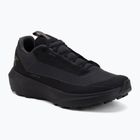Кросівки для бігу чоловічі Arcteryx Norvan LD 4 GTX black/black