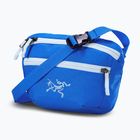 Сумка Arcteryx Mantis 1 1,5 l