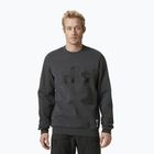 Кофта чоловіча Helly Hansen Arctic Ocean Sweater сіра 30364_980