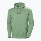 Кофта чоловіча Helly Hansen Yu Hoodie 2.0 jade 2.0
