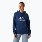 Кофта жіноча Helly Hansen Nord Graphic Pullover Hoodie ocean