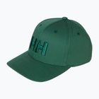 Кепка Helly Hansen Brand opal green