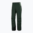 Штани лижні чоловічі Helly Hansen Legendary Insulated dark jungle