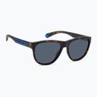 Окуляри сонцезахисні Polaroid PLD 2156/S matte brown havana/blue polarized