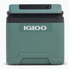 Холодильник Igloo IE24 ACDC 24 and spruce