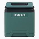 Холодильник Igloo IE27 ACDC 27 and spruce