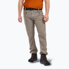 Штани трекінгові чоловічі Pinewood Finnveden Sports Light mole brown