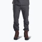 Штани трекінгові чоловічі Pinewood Finnveden Sports Light ash grey