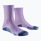 Жіночі шкарпетки для бігу X-Socks Trailrun Discover Crew орхідея/захід сонця сині