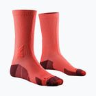 Шкарпетки чоловічі X-Socks Trailrun Discover Crew fluo red/namib red