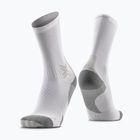 Шкарпетки X-Socks Run Discover Crew arctic white/pearl grey