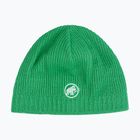Зимова шапка Mammut Sublime pine
