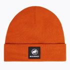 Шапка зимова Mammut Fedoz Beanie autumn larice