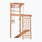 Драбина гімнастична RINAGYM Transformer