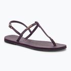 Босоніжки жіночі Havaianas You Riviera purple/black/gold