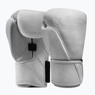 Рукавиці боксерські Hayabusa T360 Leather white