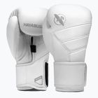 Рукавиці боксерські Hayabusa T3 Kanpeki arctic white